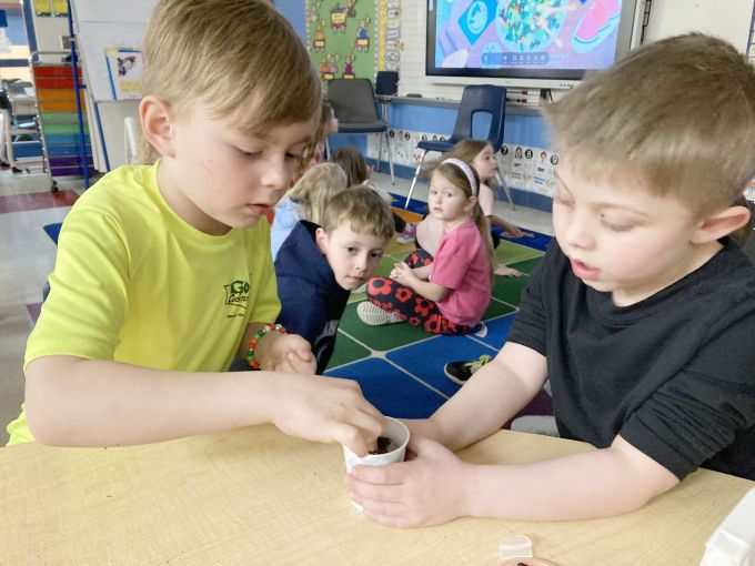 Two boys plant a seed in a small paper cup.