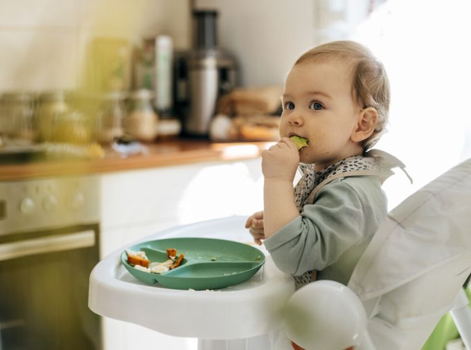 Baby in highchair eats slices of apple from a divided plate.
